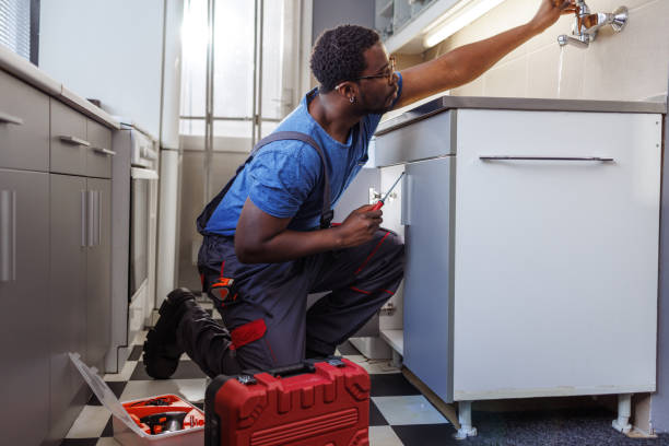 Best Commercial Plumbing Services  in Milbank, SD